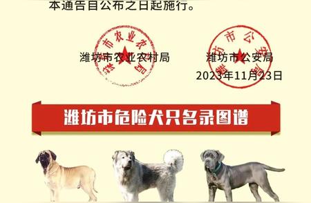 潍坊市公布危险犬只名录，52种犬品种禁止个人饲养