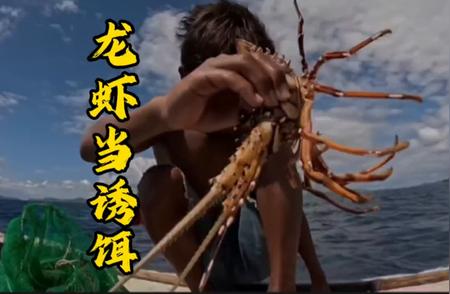 少年以百元龙虾作饵海上垂钓奇闻