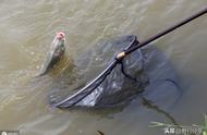 钓鱼者因高压触电起诉鱼塘老板，揭示鱼竿导电问题